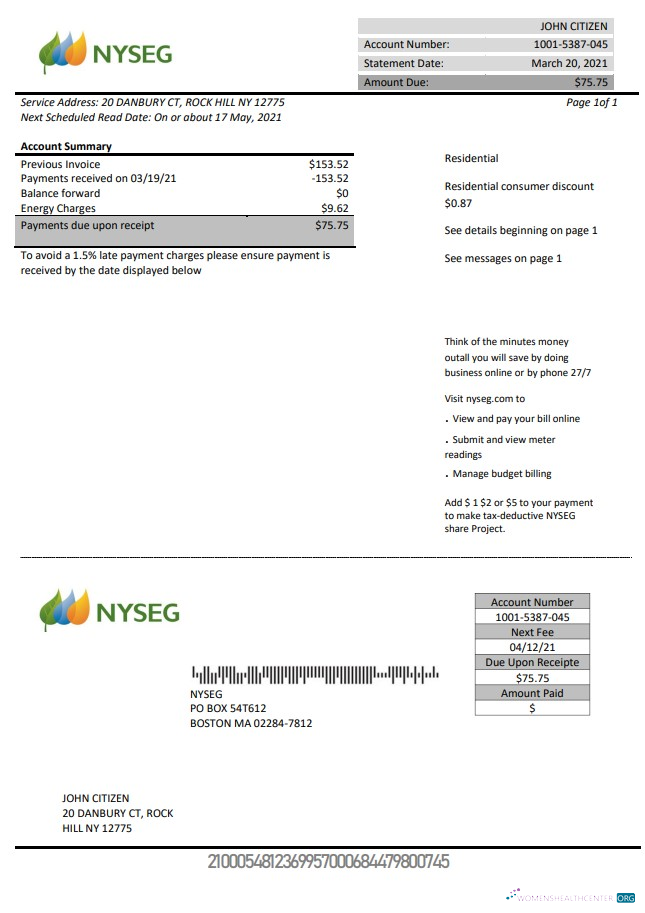 download USA Massachusetts Boston NYSEG electricity utility bill template in Word and PDF format PDF template